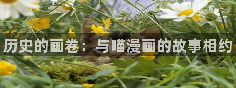 汗汗漫画官方入口