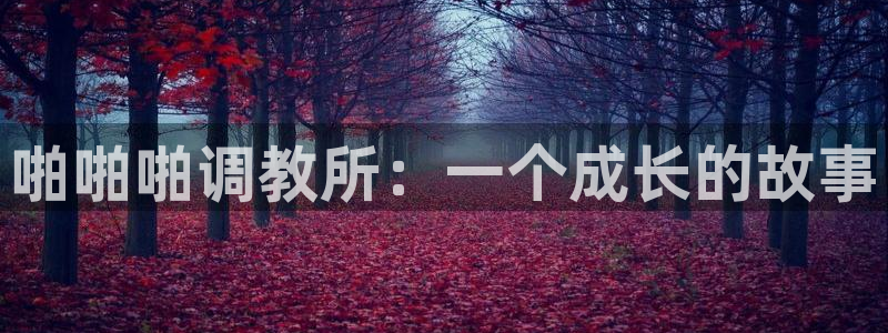 汗汗漫画大全免费版