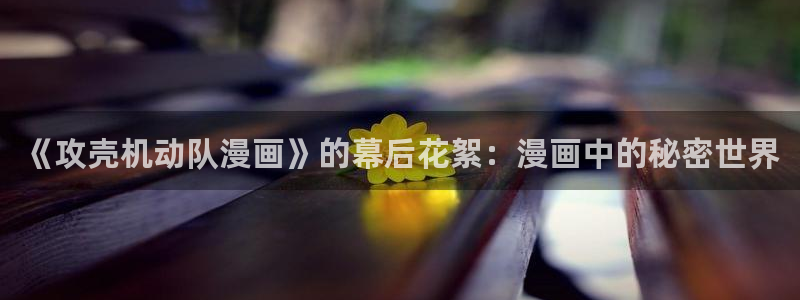 汗汗漫画火影忍者