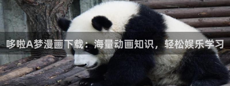 汗汗漫画免费下拉式漫画官方入口